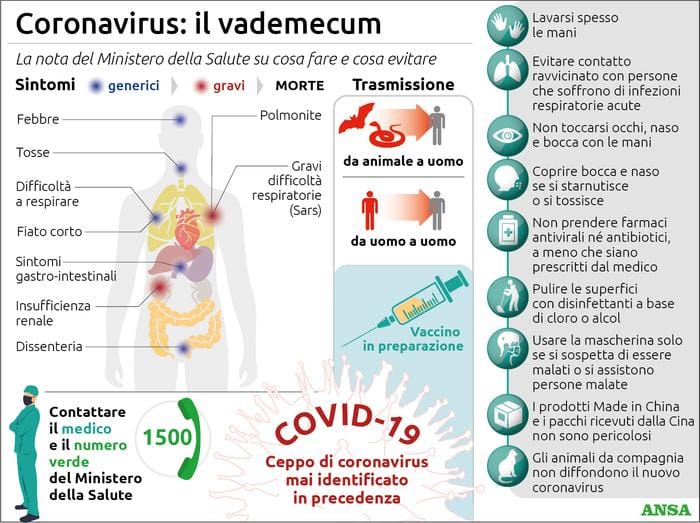 Immagine Coronavirus: il vademecum